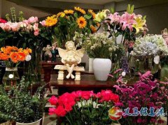 高考樂理、視唱練耳、聲樂小三門、青少年（少兒）聲樂、中老年人