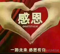 義馬愛子緣家政 義馬愛子緣家政