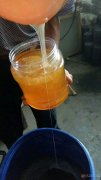 觀音堂王氏蜂蜜——天然純正無公害成熟蜂蜜 觀音堂王氏蜂蜜——天然純正無公害成熟蜂蜜