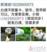 聯(lián)通寬帶、手機(jī)卡-侯