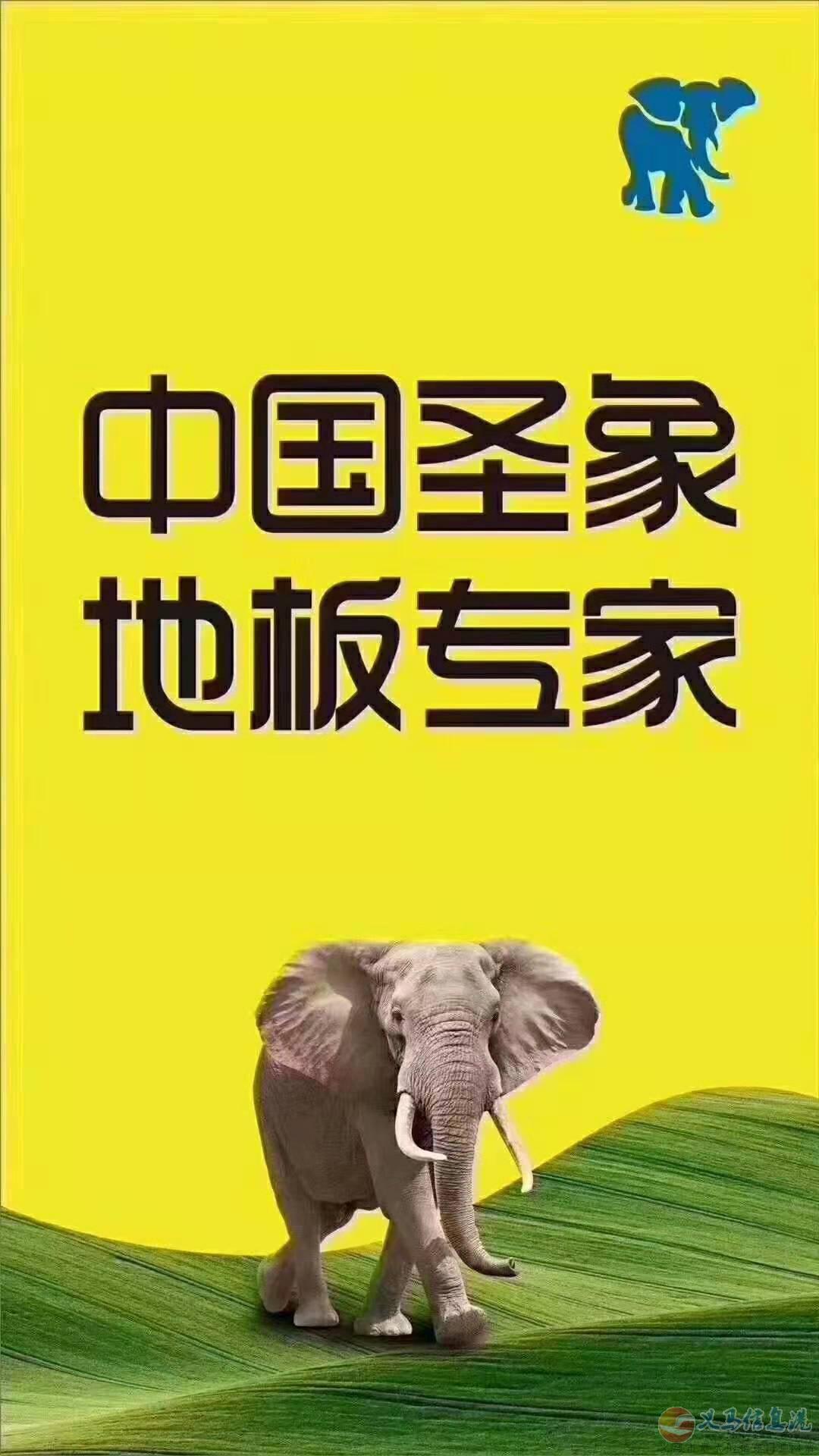 圣象地板在澠池及義馬地區(qū)招商了 圣象地板在澠池及義馬地區(qū)招商了