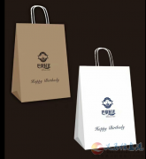 源頭廠家專業(yè)生產(chǎn)手提袋盒子等包裝用品，質(zhì)優(yōu)價(jià)廉迅速快捷，代發(fā)