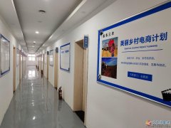 運營and主播 運營and主播