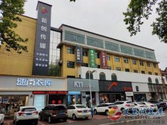招主播 招主播